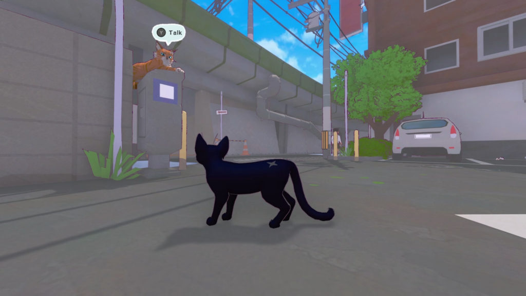 little kitty big city